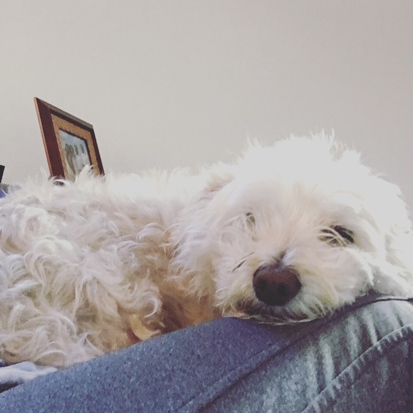 Meet your Posher, Eyelndr - Picture 1 of 1